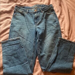 American Eagle Outfitters Blue Straight Leg Jeans